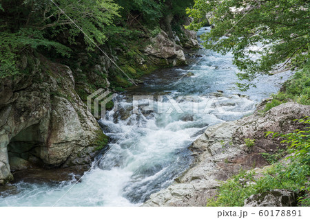 栃木県那須塩原市　塩原温泉　箒川　（8月） 60178891
