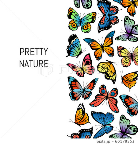 Vector decorative butterflies background illustration pretty nature 60179553