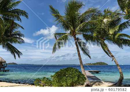 bora bora polynesia paradise beach bora bora polynesia paradise beach 60179582