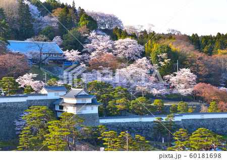 桜景　二本松城 60181698