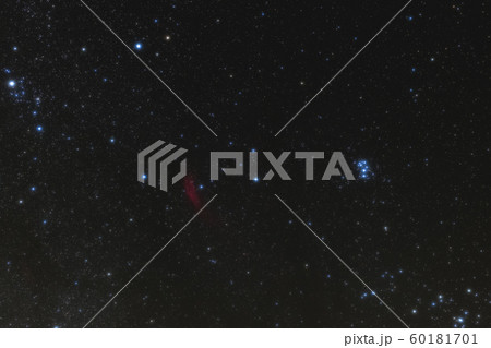 カリフォルニア星雲とプレアデス星団 カリフォルニア星雲とプレアデス星団 60181701