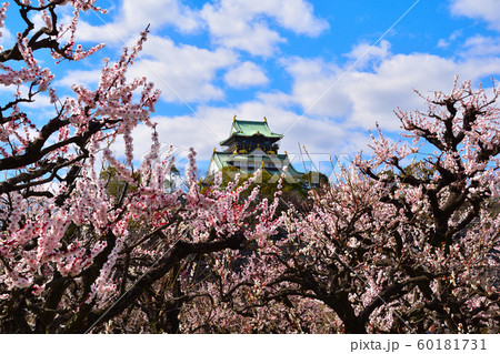 大阪城公園　梅林 60181731