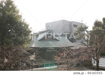 鳩森八幡神社 60183503