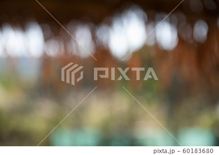 Natural bokeh background. 60183680