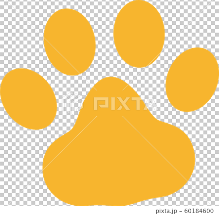 肉球例證 60184600