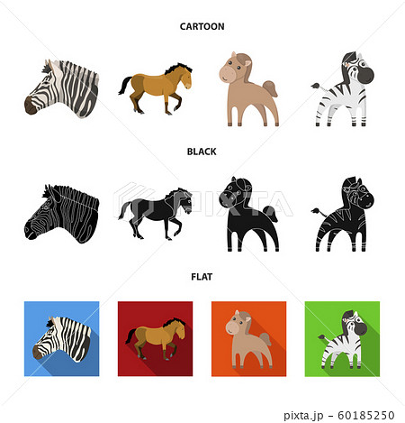 Isolated object of trot and running symbol. Set of trot and clipart stock vector illustration. Isolated object of trot and running symbol. Set of trot and clipart stock vector illustration. 60185250
