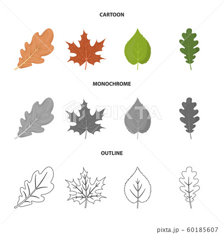 Vector illustration of vegan and organic sign. Collection of vegan and fresh stock vector illustration. 60185607