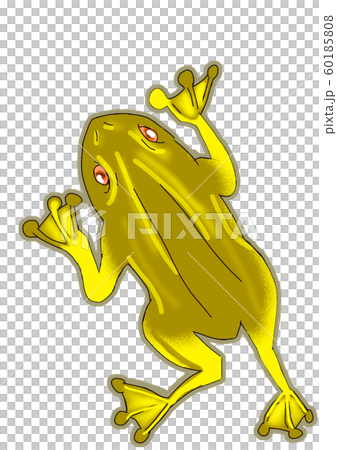 Yellow frog 60185808