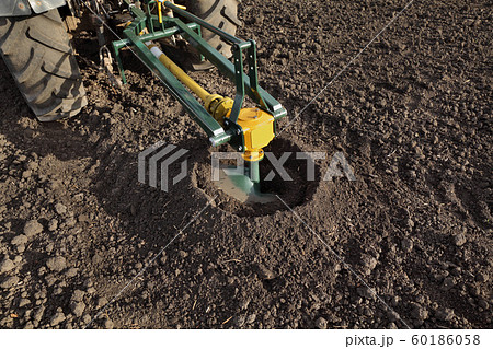 Drilling holes in field, preparing for tree 60186058