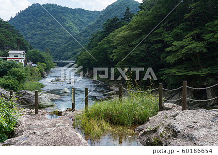 栃木県那須塩原市　塩原温泉　箒川　（8月）　野立岩より 60186654