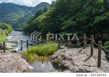 栃木県那須塩原市 塩原温泉 箒川 (8月) 野立岩より 栃木県那須塩原市 塩原温泉 箒川 (8月) 野立岩より 60186659