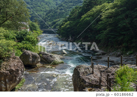 栃木県那須塩原市　塩原温泉　箒川　野立岩　（8月） 60186662