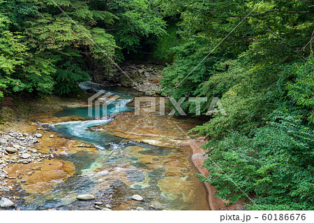 栃木県那須塩原市　塩原温泉　鹿股川　（8月） 60186676