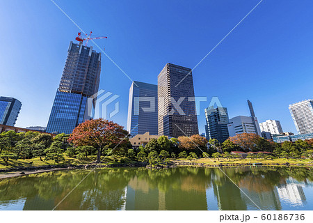旧芝離宮恩賜庭園と浜松町のオフィスビルディング 旧芝離宮恩賜庭園と浜松町のオフィスビルディング 60186736