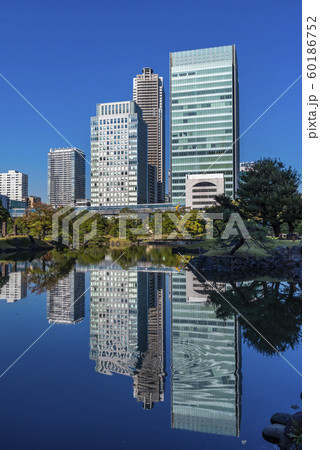 旧芝離宮恩賜庭園と浜松町のオフィスビルディング 60186752
