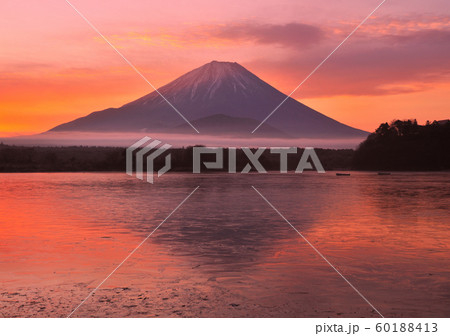 精進湖畔からの富士山-77616 60188413