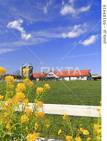 春のマザー牧場 春のマザー牧場 60189419
