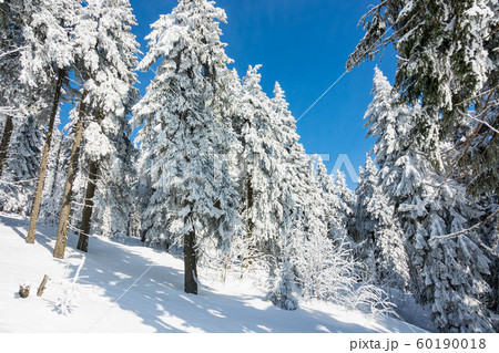 Winter with snow in the Giant Mountains, Czech Winter with snow in the Giant Mountains, Czech 60190018