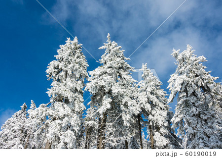 Winter with snow in the Giant Mountains, Czech Winter with snow in the Giant Mountains, Czech 60190019