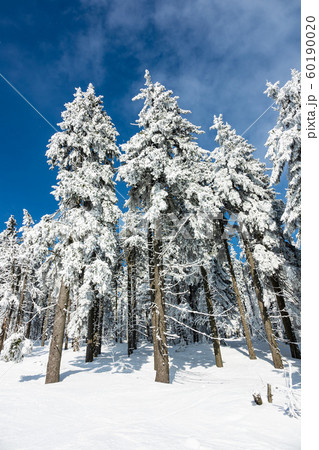 Winter with snow in the Giant Mountains, Czech Winter with snow in the Giant Mountains, Czech 60190020