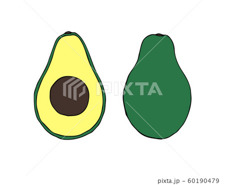 Vector hand drawn doodle sketch colored avocado 60190479
