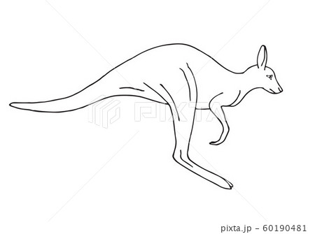 Vector hand drawn sketch doodle kangaroo 60190481
