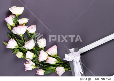 Pink flowers eustoma with gift box and frame on dark gray paper background with copy space. Flat lay, copy space 60190758