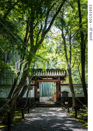 竹の寺、地蔵院の山門 60191603