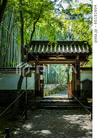 竹の寺、地蔵院の山門 60191604