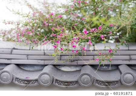 大覚寺門前、六道の辻「生の六道延命地蔵」の萩の花 60191871