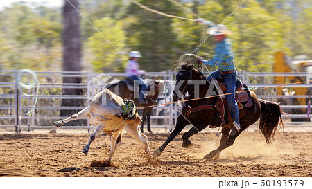 Cowboy Riding A Bucking Bronc Horse 60193579