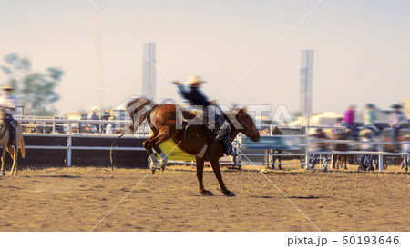 Bucking Saddle Bronc Riding 60193646