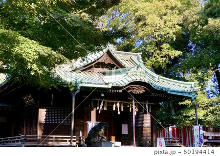 代々木八幡宮 代々木八幡宮 60194414