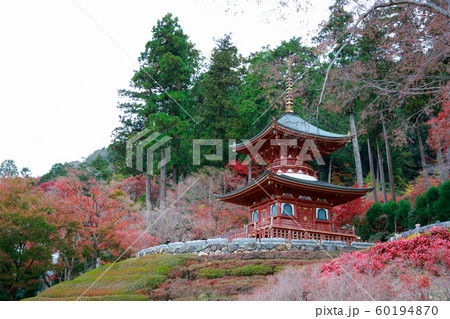 勝尾寺 60194870