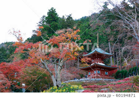 勝尾寺 60194871