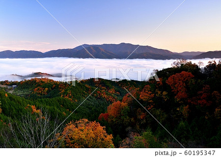亀岡盆地の雲海 60195347