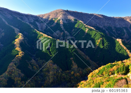 なめご谷の紅葉 なめご谷の紅葉 60195363