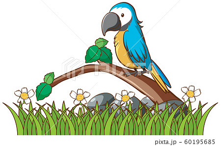 Isolated picture of parrot in garaden Isolated picture of parrot in garaden 60195685