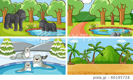 Background scenes of animals in the wild Background scenes of animals in the wild 60195728