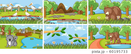 Background scenes of animals in the wild 60195733