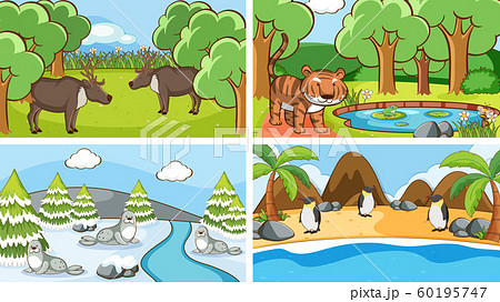 Background scenes of animals in the wild 60195747