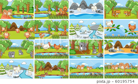Background scenes of animals in the wild Background scenes of animals in the wild 60195754