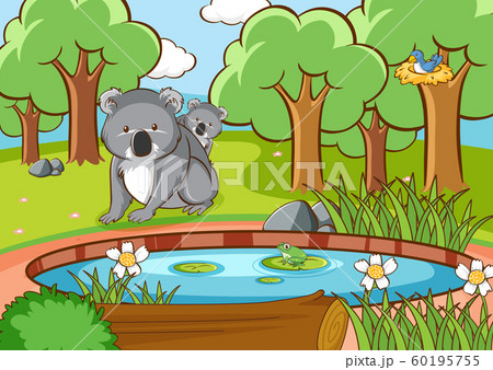 Scene with koala in the forest Scene with koala in the forest 60195755