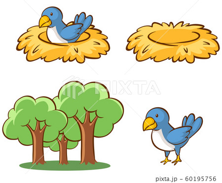 Isolated picture of birds and nest Isolated picture of birds and nest 60195756