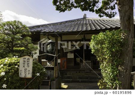 萩城城下町　円政寺　本堂　山口県萩市 60195896