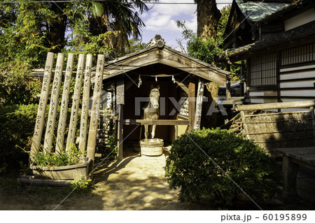 萩城城下町 円政寺 神馬 山口県萩市 萩城城下町 円政寺 神馬 山口県萩市 60195899