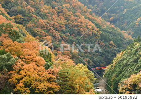 保津峡の紅葉とトロッコ列車 60195932