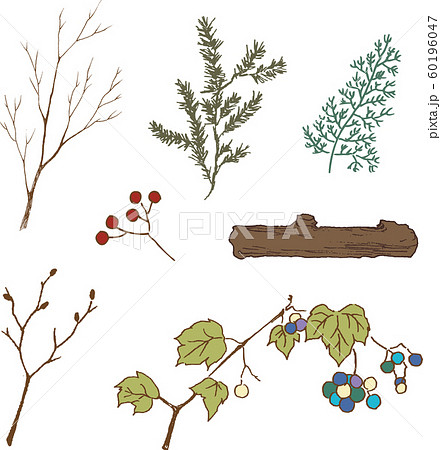 秋から冬の木の枝木の実色のイラスト素材