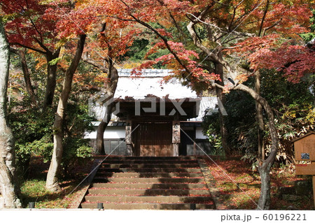 円覚寺  Engakuji temple 60196221