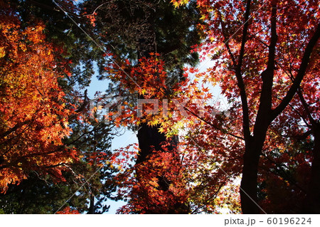 円覚寺 Engakuji temple 円覚寺 Engakuji temple 60196224